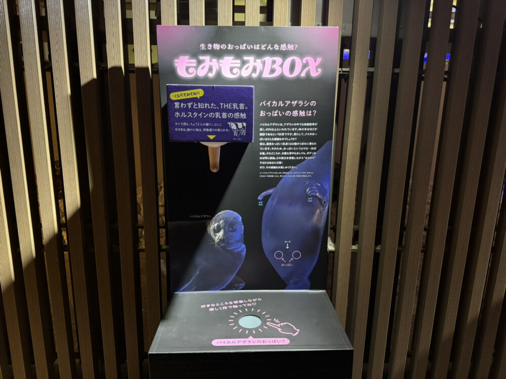 生き物の性を触って体感できる♡「もみもみBOX」