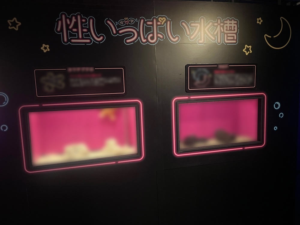 入口付近の特設水槽